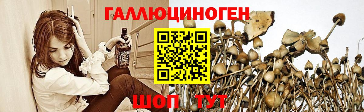 Коммунар  Галлюциногенные грибы Magic Shrooms  Вход с VPN  Псилоцибиновые грибы Psilocybe 