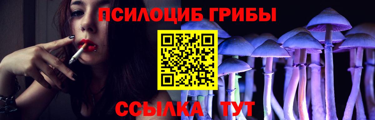 Псилоцибиновые грибы мицелий Коммунар
